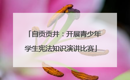 自贡贡井：开展青少年学生宪法知识演讲比赛