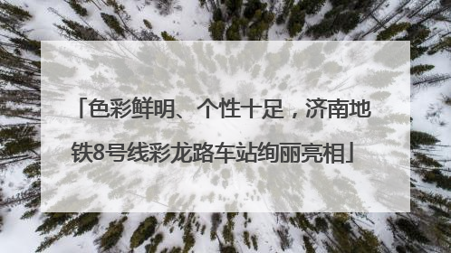 色彩鲜明、个性十足，济南地铁8号线彩龙路车站绚丽亮相