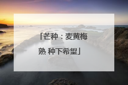 芒种：麦黄梅熟 种下希望