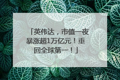 英伟达，市值一夜暴涨超1万亿元！重回全球第一！