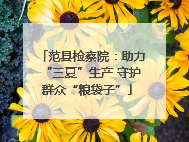 范县检察院：助力“三夏”生产 守护群众“粮袋子”