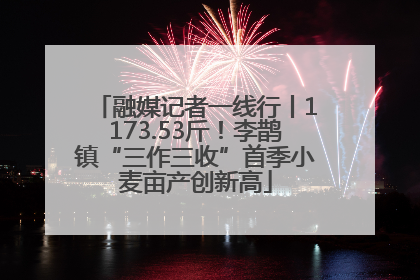 融媒记者一线行丨1173.53斤！李鹊镇“三作三收”首季小麦亩产创新高