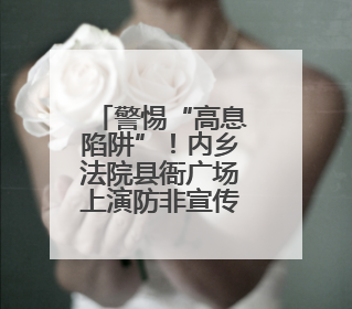 警惕“高息陷阱”！内乡法院县衙广场上演防非宣传“实战课”