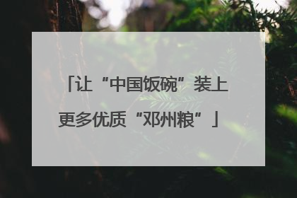 让“中国饭碗”装上更多优质“邓州粮”