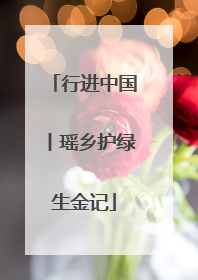 行进中国丨瑶乡护绿生金记