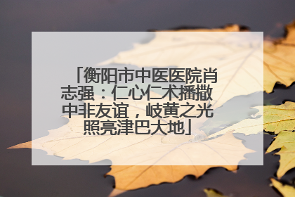 衡阳市中医医院肖志强：仁心仁术播撒中非友谊，岐黄之光照亮津巴大地