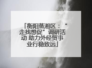 衡阳蒸湘区：“走找想促”调研活动 助力外经贸事业行稳致远
