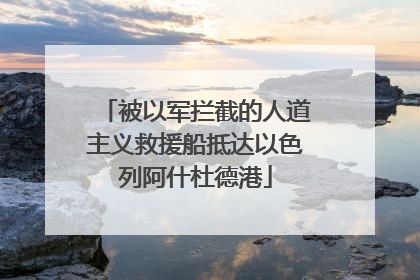 被以军拦截的人道主义救援船抵达以色列阿什杜德港
