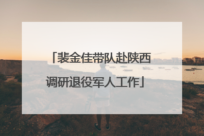 裴金佳带队赴陕西调研退役军人工作