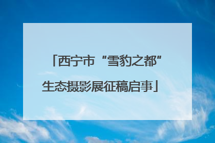 西宁市“雪豹之都”生态摄影展征稿启事