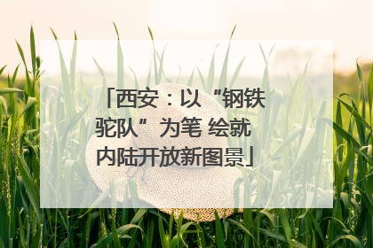 西安：以“钢铁驼队”为笔 绘就内陆开放新图景