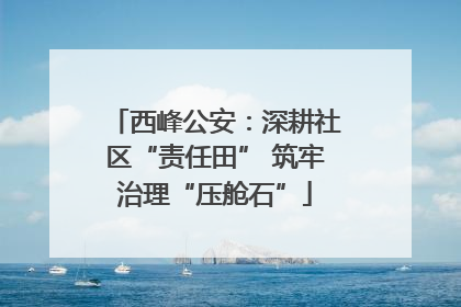西峰公安：深耕社区“责任田” 筑牢治理“压舱石”