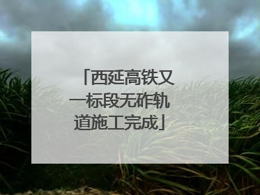 西延高铁又一标段无砟轨道施工完成