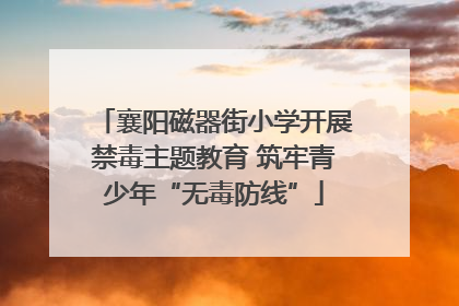 襄阳磁器街小学开展禁毒主题教育 筑牢青少年“无毒防线”
