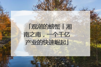 观潮的螃蟹丨湘南之南，一个千亿产业的快速崛起