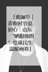 观澜亭｜麦收时节见初心：山东“晒粮地图”绘就民生温暖画卷