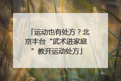 运动也有处方？北京丰台“武术进家庭”教开运动处方
