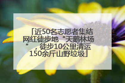 近50名志愿者集结网红徒步地“天鹅林场”，徒步10公里清运150余斤山野垃圾