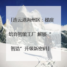 连云港海州区：梯度培育智能工厂 解锁“智造”升级新密码