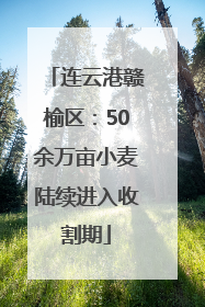 连云港赣榆区：50余万亩小麦陆续进入收割期