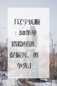 辽宁抚顺：38条举措稳经济、促振兴、勇争先