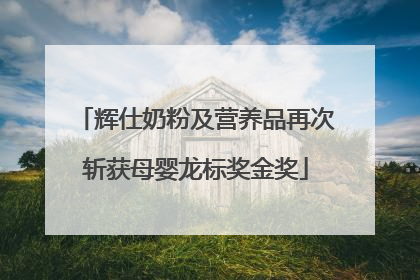 辉仕奶粉及营养品再次斩获母婴龙标奖金奖