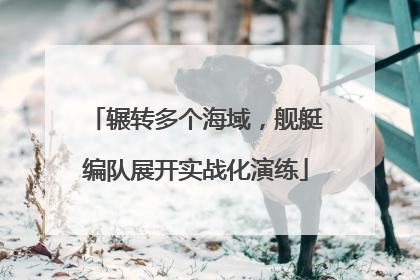 辗转多个海域，舰艇编队展开实战化演练