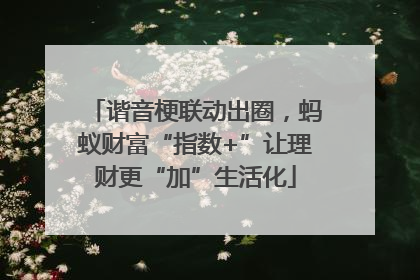 谐音梗联动出圈，蚂蚁财富“指数+”让理财更“加”生活化