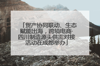 贸产协同联动、生态赋能出海，跨境电商·四川制造源头供需对接活动在成都举办
