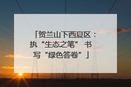 贺兰山下西夏区：执“生态之笔” 书写“绿色答卷”