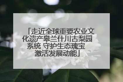 走近全球重要农业文化遗产皋兰什川古梨园系统 守护生态瑰宝 激活发展动能