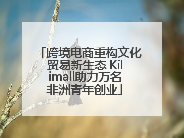 跨境电商重构文化贸易新生态 Kilimall助力万名非洲青年创业