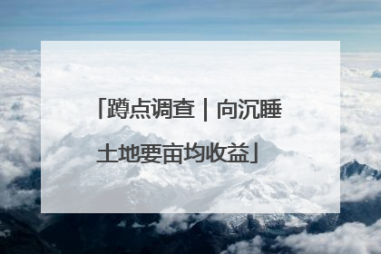 蹲点调查｜向沉睡土地要亩均收益