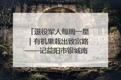 退役军人每周一星｜有机果栽出致富路——记益阳市银城南湖蔬果农民专业合作社总经理晏桂明