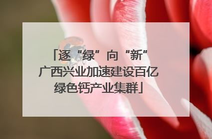 逐“绿”向“新” 广西兴业加速建设百亿绿色钙产业集群