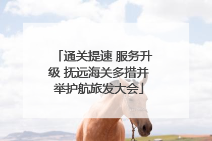 通关提速 服务升级 抚远海关多措并举护航旅发大会