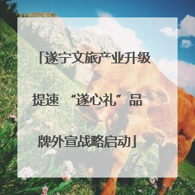 遂宁文旅产业升级提速 “遂心礼”品牌外宣战略启动