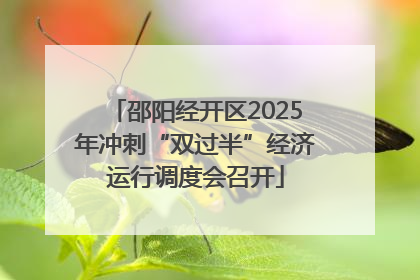 邵阳经开区2025年冲刺“双过半”经济运行调度会召开