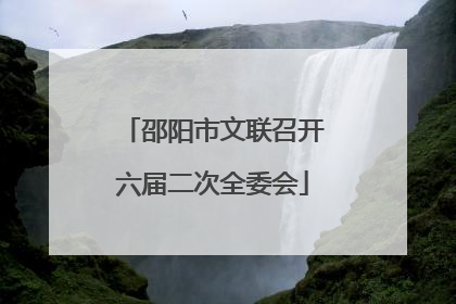 邵阳市文联召开六届二次全委会
