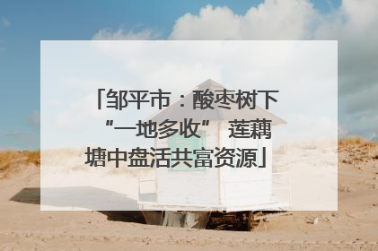 邹平市：酸枣树下“一地多收” 莲藕塘中盘活共富资源