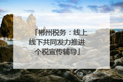 郴州税务：线上线下共同发力推进个税宣传辅导