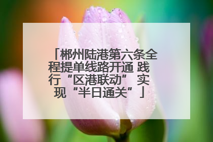 郴州陆港第六条全程提单线路开通 践行“区港联动” 实现“半日通关”