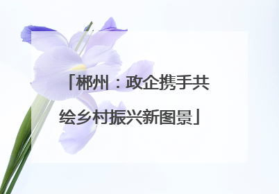 郴州：政企携手共绘乡村振兴新图景