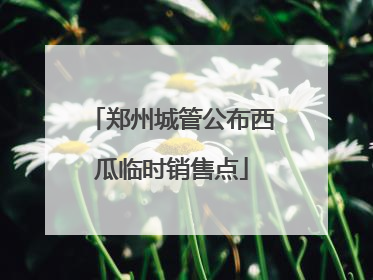 郑州城管公布西瓜临时销售点