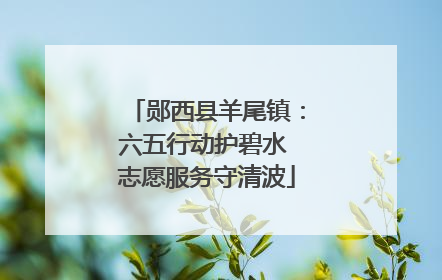 郧西县羊尾镇：六五行动护碧水 志愿服务守清波