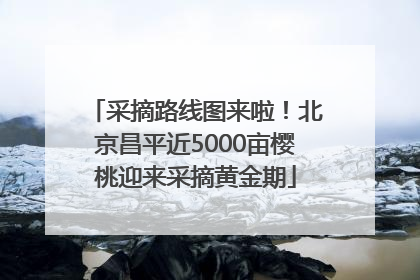采摘路线图来啦！北京昌平近5000亩樱桃迎来采摘黄金期