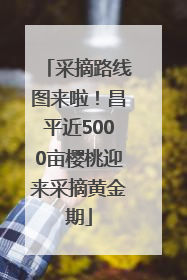 采摘路线图来啦！昌平近5000亩樱桃迎来采摘黄金期