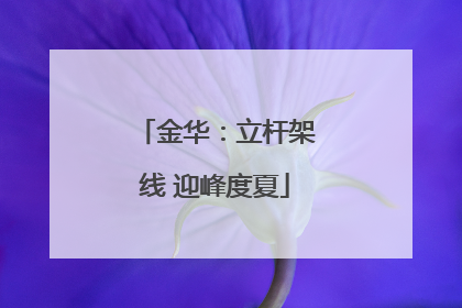 金华：立杆架线 迎峰度夏