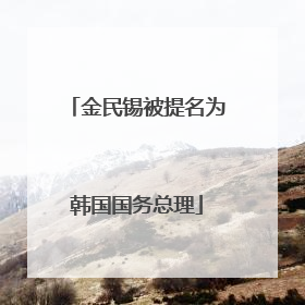 金民锡被提名为韩国国务总理