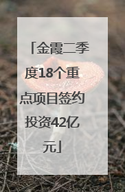 金霞二季度18个重点项目签约投资42亿元